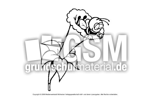Biene-3.pdf